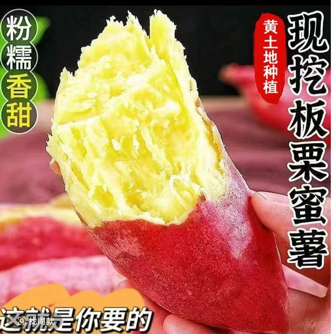 2025新鲜现挖陕北板栗香蕉番薯好吃不贵
