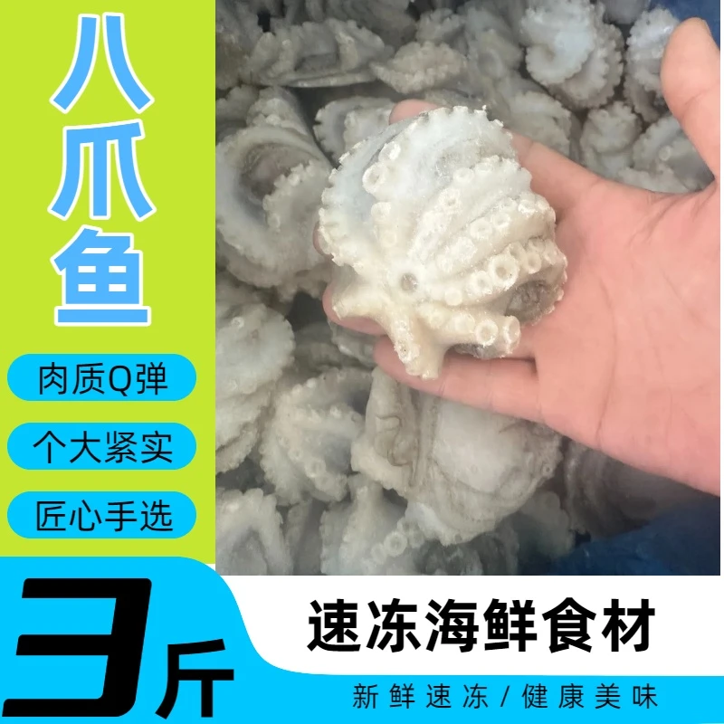 速冻八爪鱼【顺丰快递】三去免处理速冻锁鲜炒菜食材(10-20只/公斤)