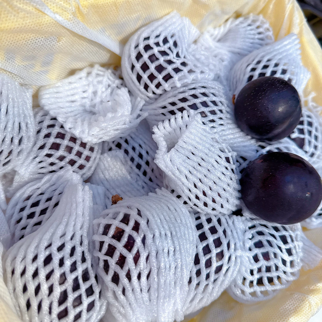恐龙蛋李子    12.8元500g
