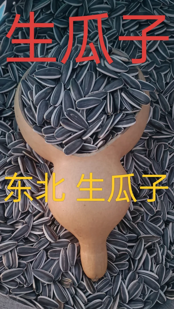 东北 新葵花子 生瓜子 3斤包邮