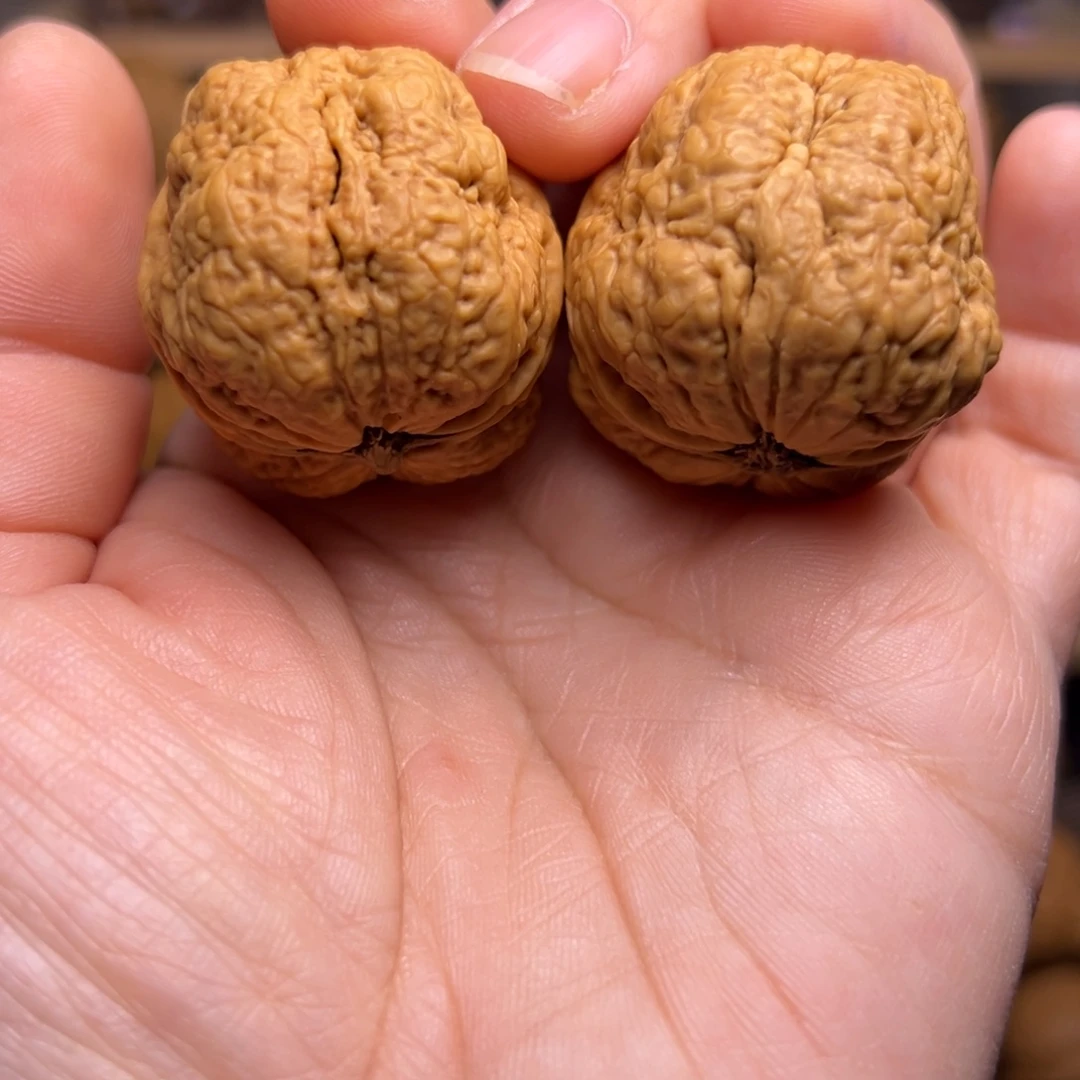 文玩核桃把件50w平头蟾35尺