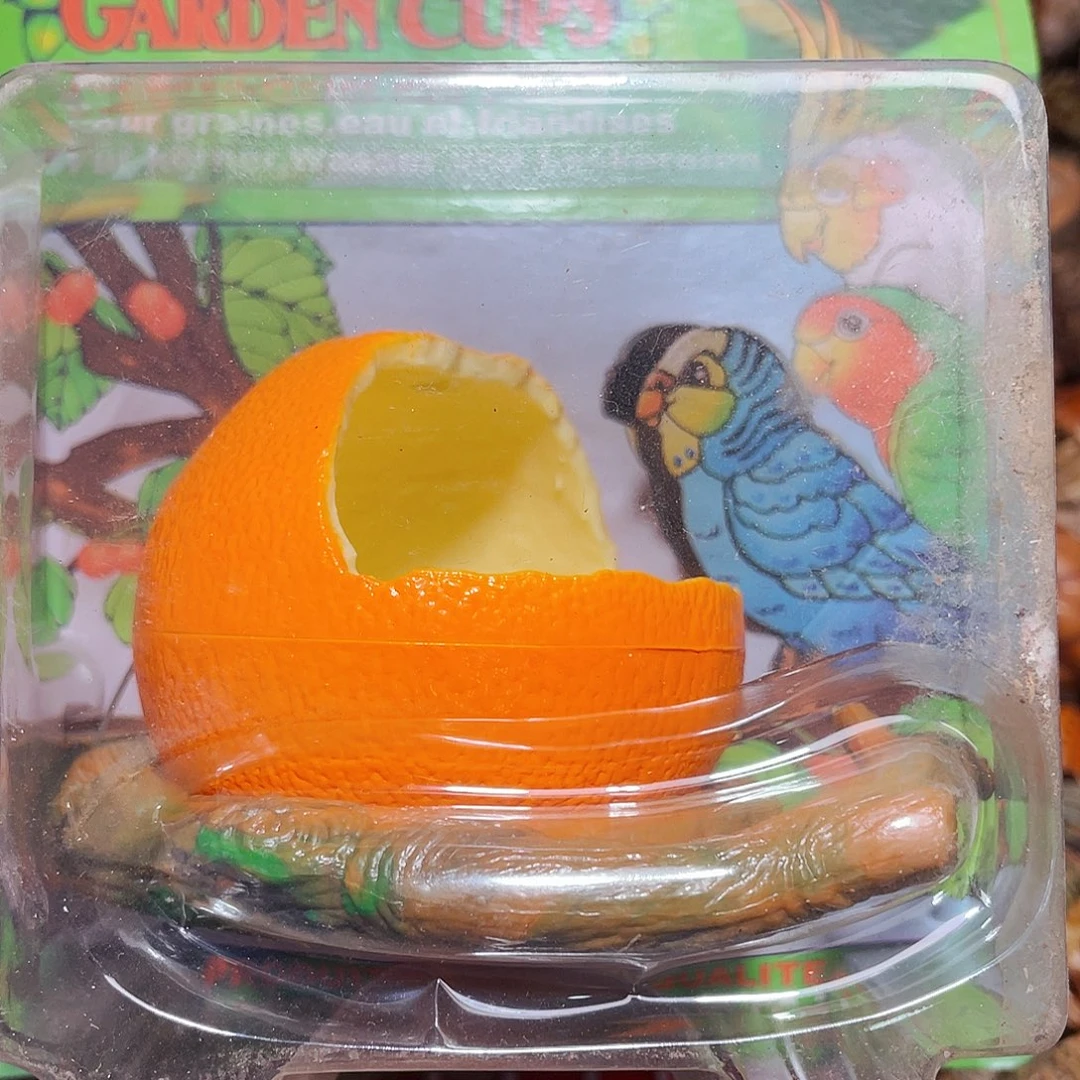 陌派有钳寄居蟹042