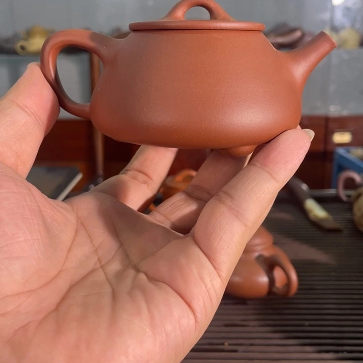 茶壶紫砂哈哈哈哈哈这个综艺节目真的是太棒