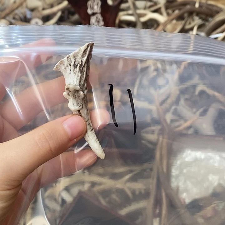 ****峰无非金属鹿角鹿角