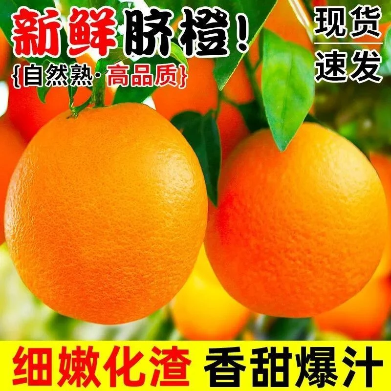 正宗赣南脐橙纯天然不打甜蜜素不泡保鲜剂汁多无渣 含有丰富的维C
