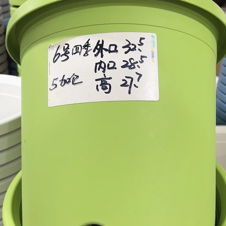 特价6号口32.5高27白色7只无托