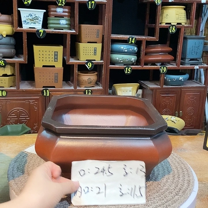 紫砂花盆紫砂花盆