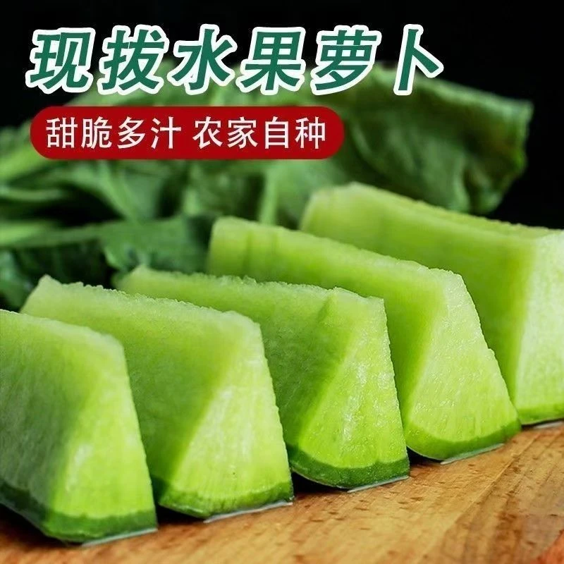 潍坊水果青萝卜新鲜现挖脆甜多汁可生吃的优质农产品