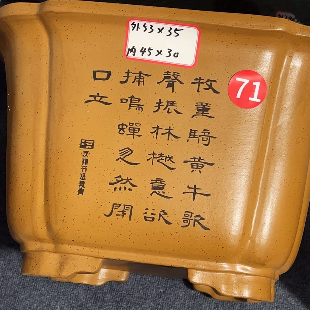 紫砂花盆紫砂花盆
