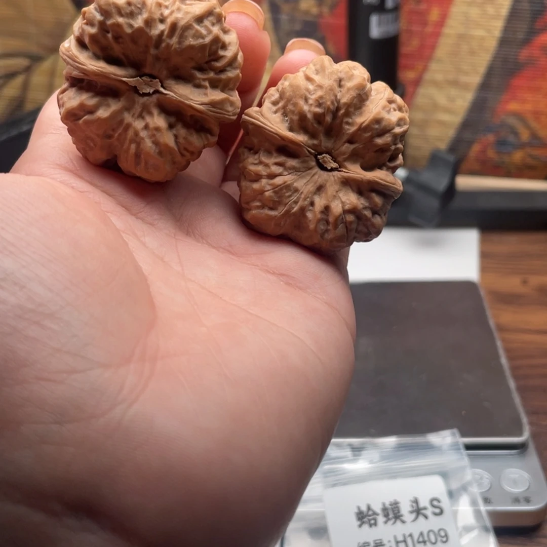 二***、菩提籽类1409蛙蛙蛙蛙