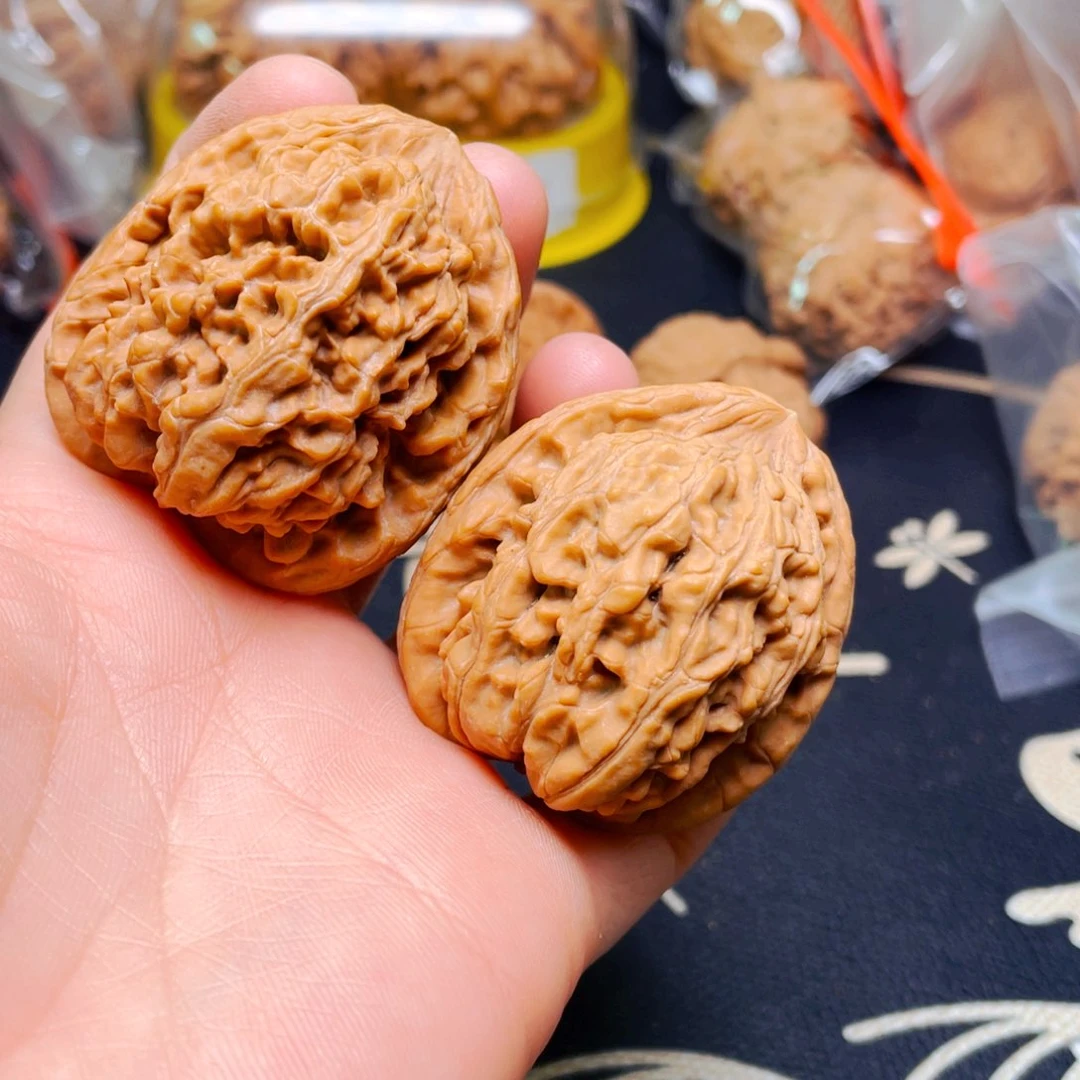 吊坠文玩核桃粗筋蚂蚁王
