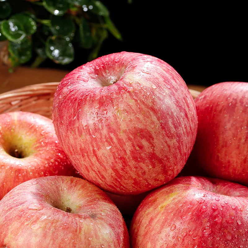 烟台红富士苹果4.5斤中通包邮9斤京东包邮