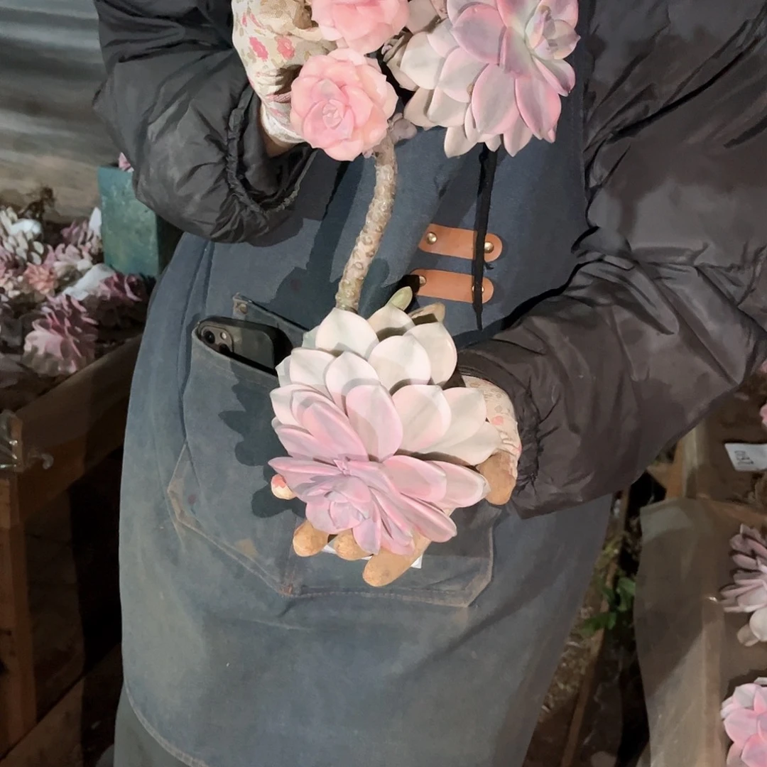 墙*多肉植物紫乐景C13