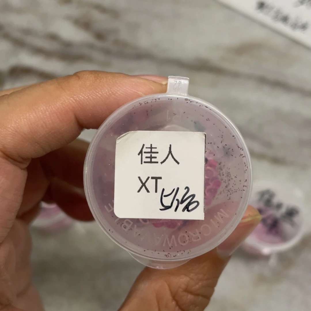 佳人✖️雪兔20粒，新手推荐