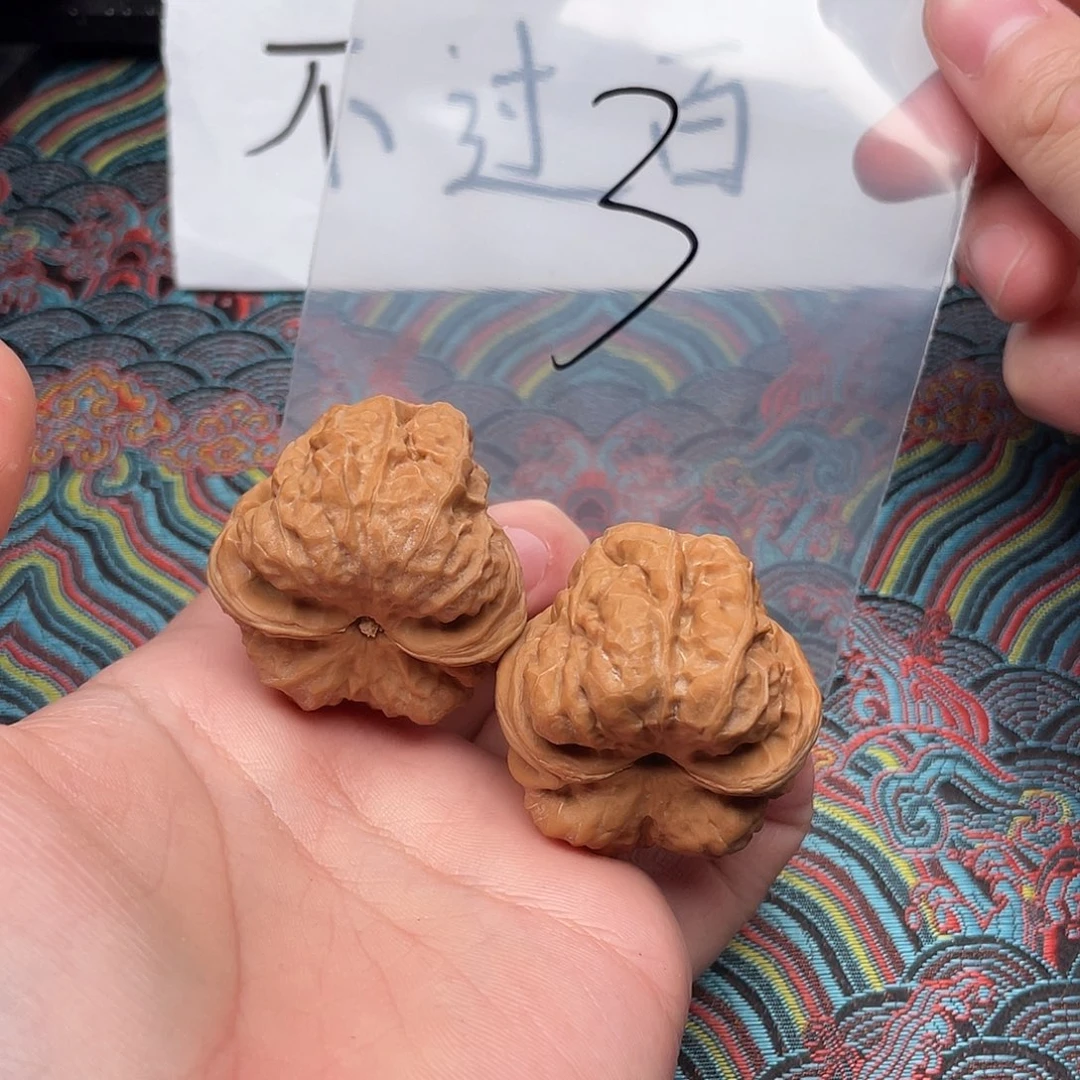 核桃哈哈哈哈哈哈哈哈哈