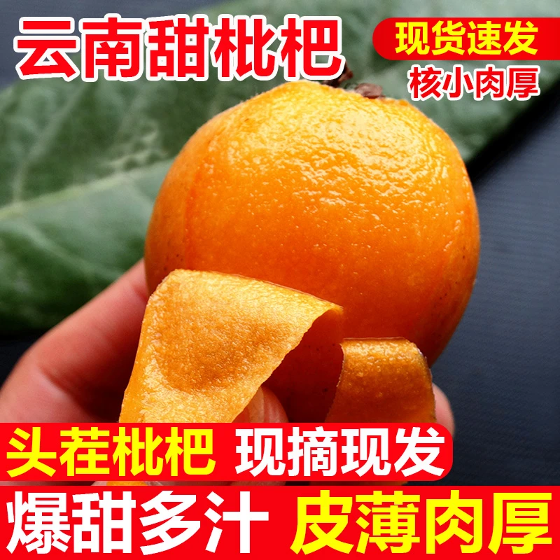 云南甜枇杷大果应季现摘1/3/5斤大五星甜琵琶果当季新鲜水果