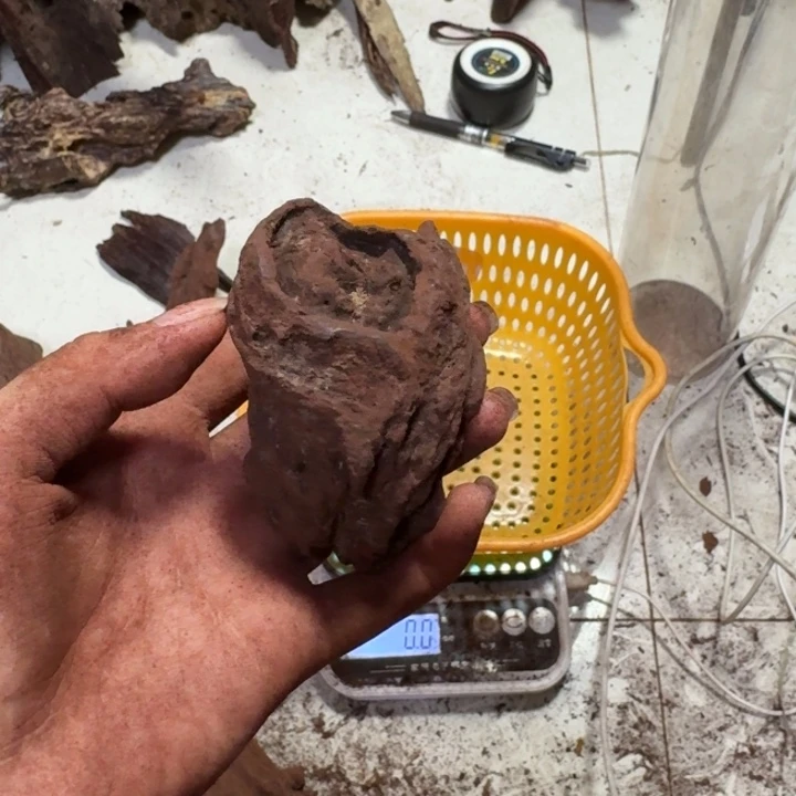 花梨木类?****?海南红降花梨公