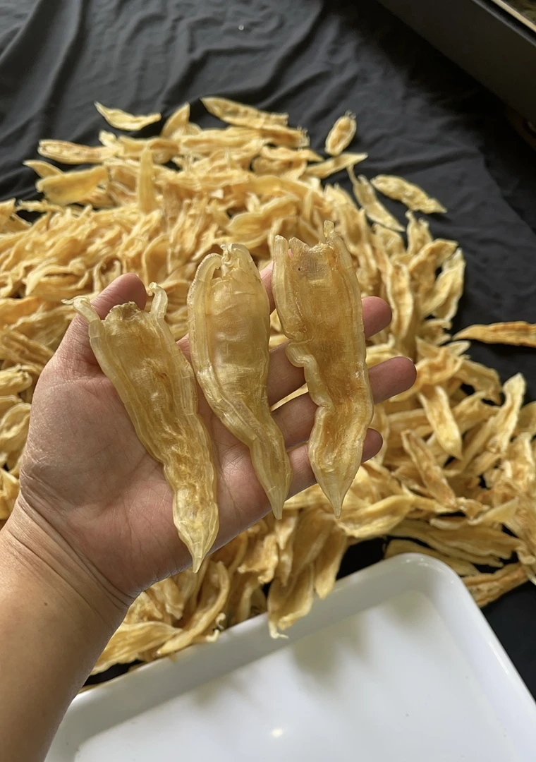 【忠益滋补品】深海老双背胶，厚肉