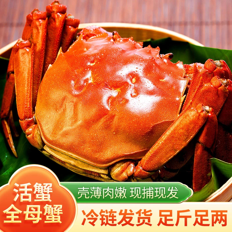 【全公蟹】活蟹现发江苏大闸蟹公4.5--4.2两8/10只冷链包邮