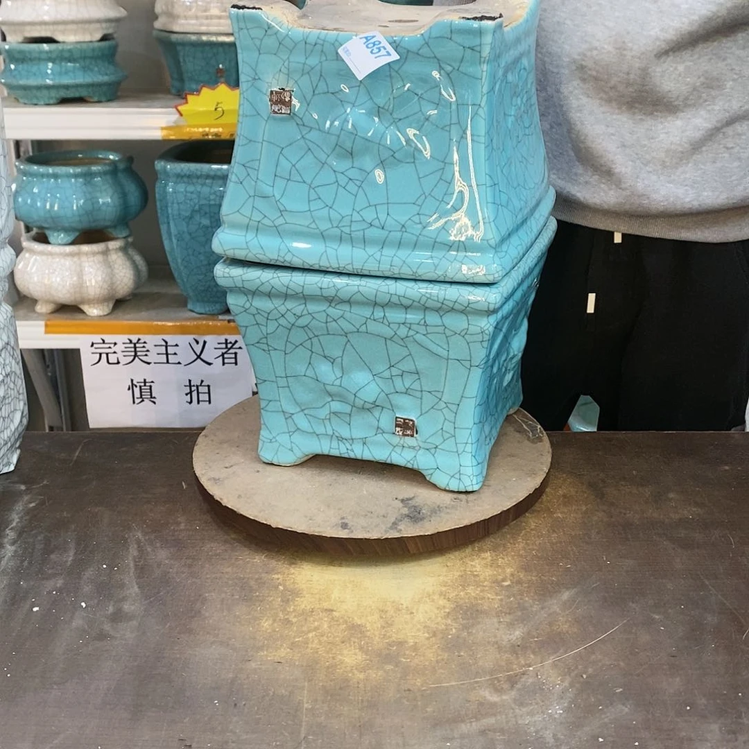 F****m瑕疵花盆等花盆里的花