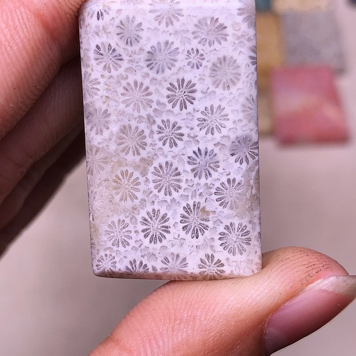 用***1硅化玉合金珊瑚玉