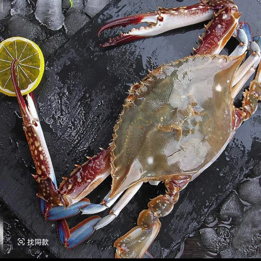 东港母梭子蟹（3斤9只左右）单只3-4两左右【保鲜不保活】