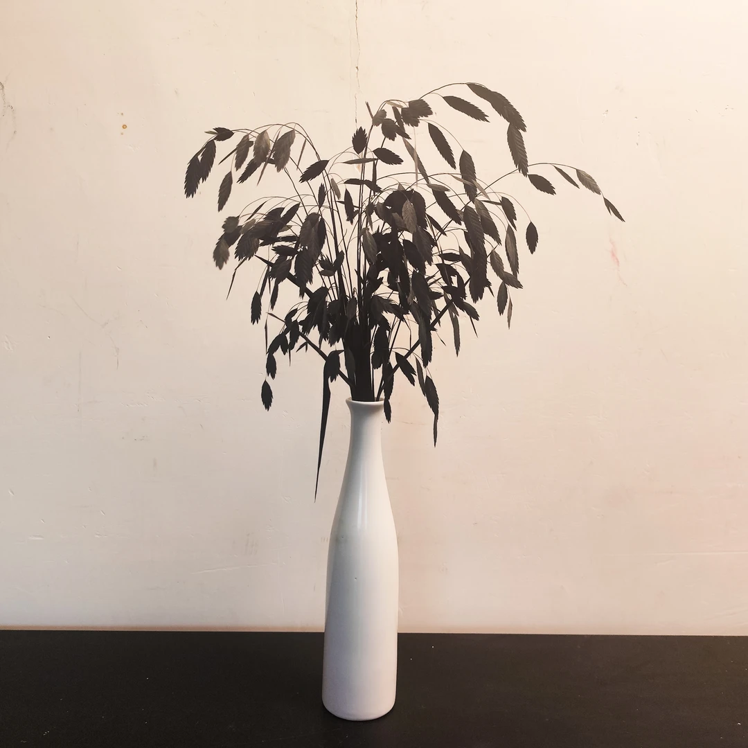 【小盼草】白色花瓶高级感精致家居永生花