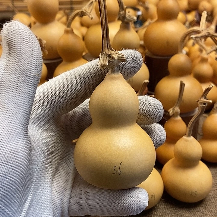 文玩葫芦 完美主义者 慎拍56