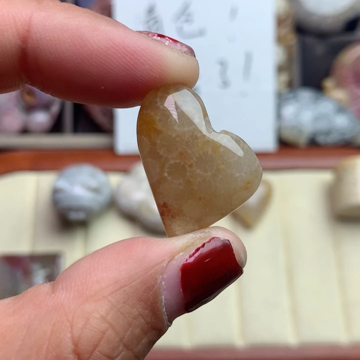 硅化珊瑚(珊瑚玉)颈饰未镶嵌