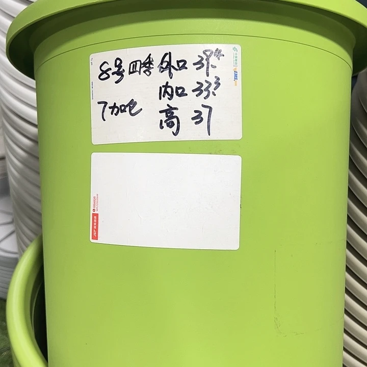 特价8号口39高37果绿3只无托