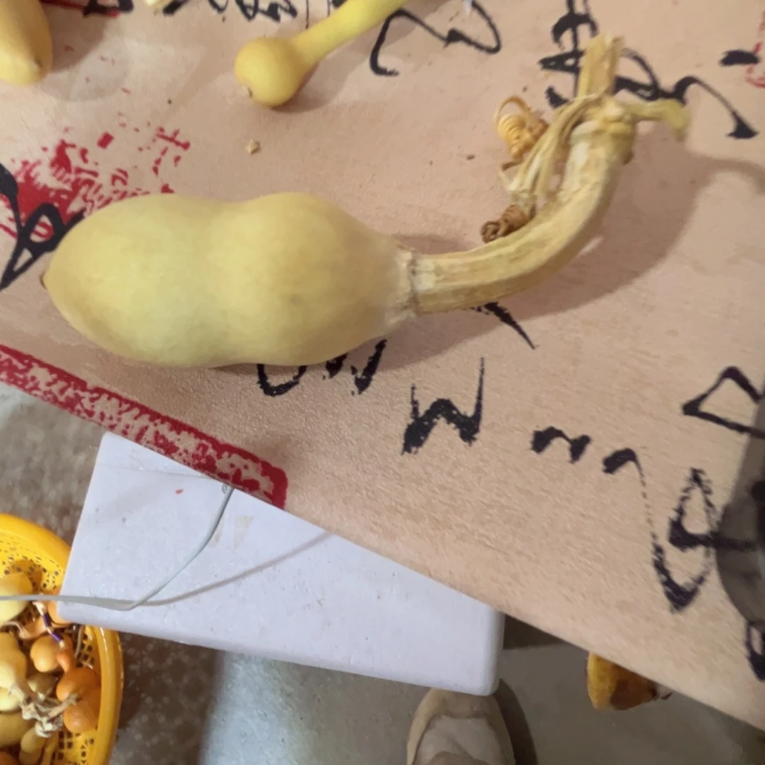 P***e文玩葫芦吊坠项链