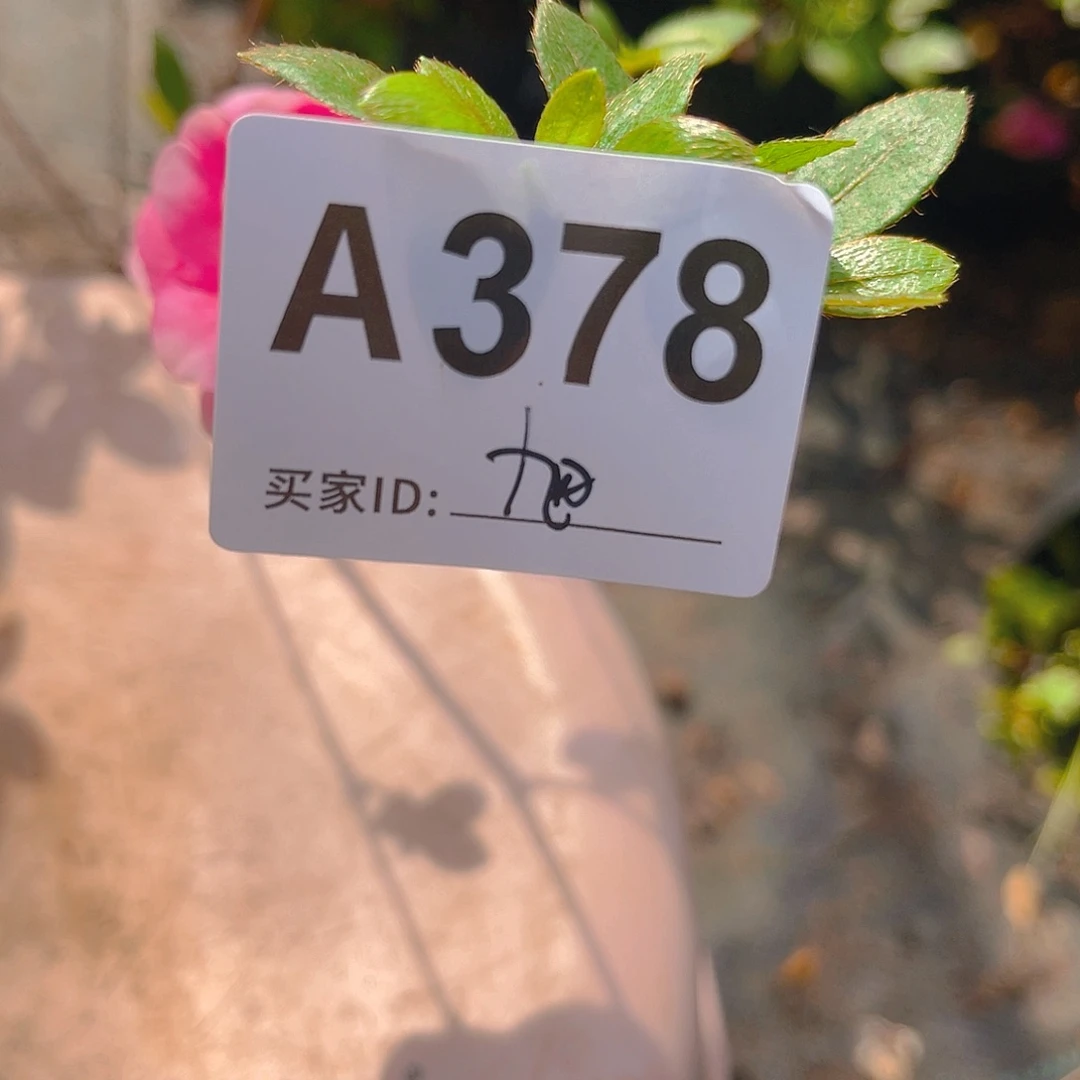 旭****烂直播时间一直一直