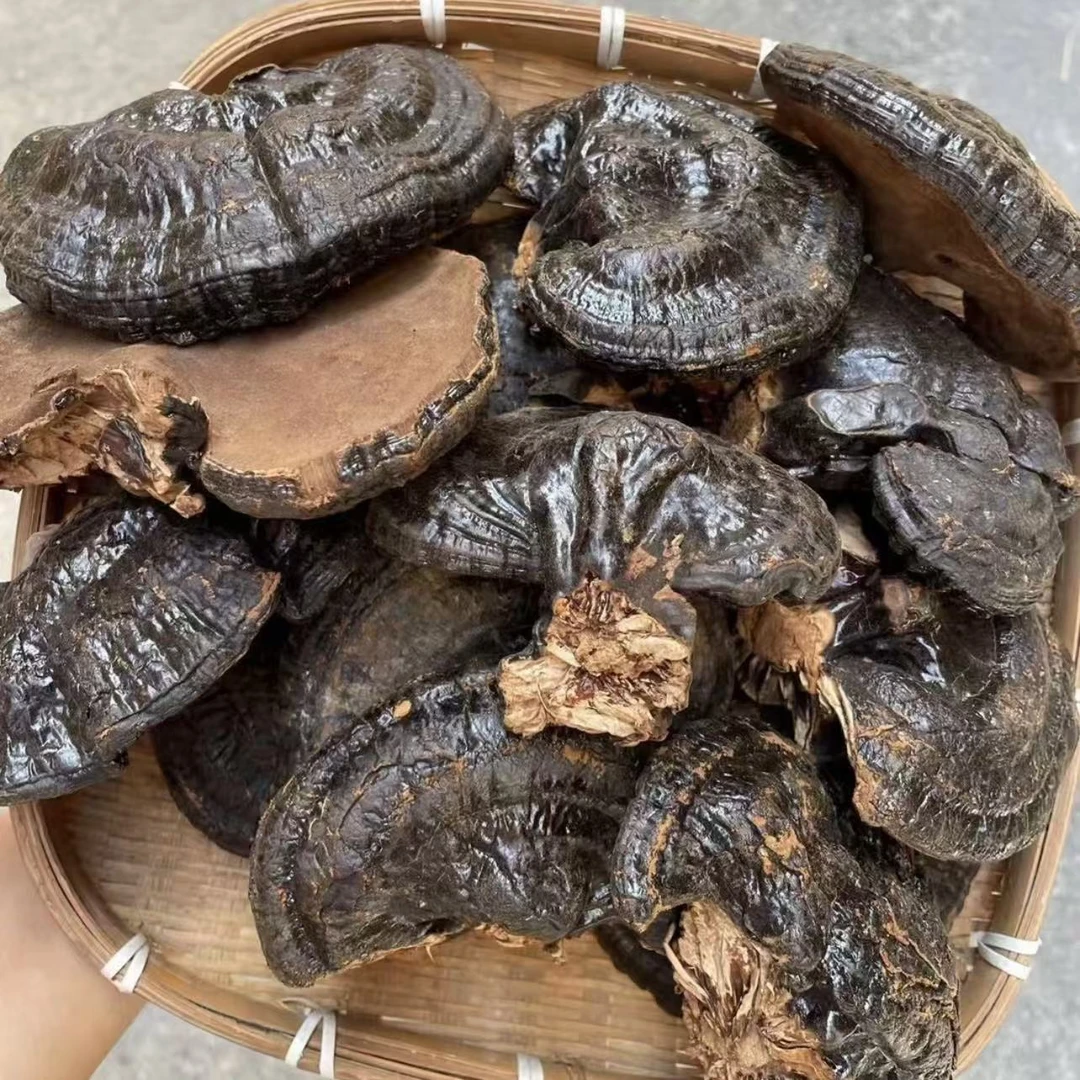 黑零芝 可搭配红枣煲汤煮水