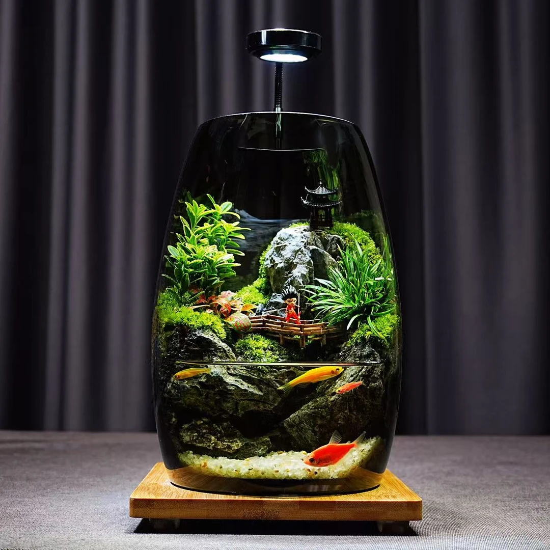 青苔壹品【哪吒闹海】创意绿植桌面微景观成品植物造景养鱼室内摆件