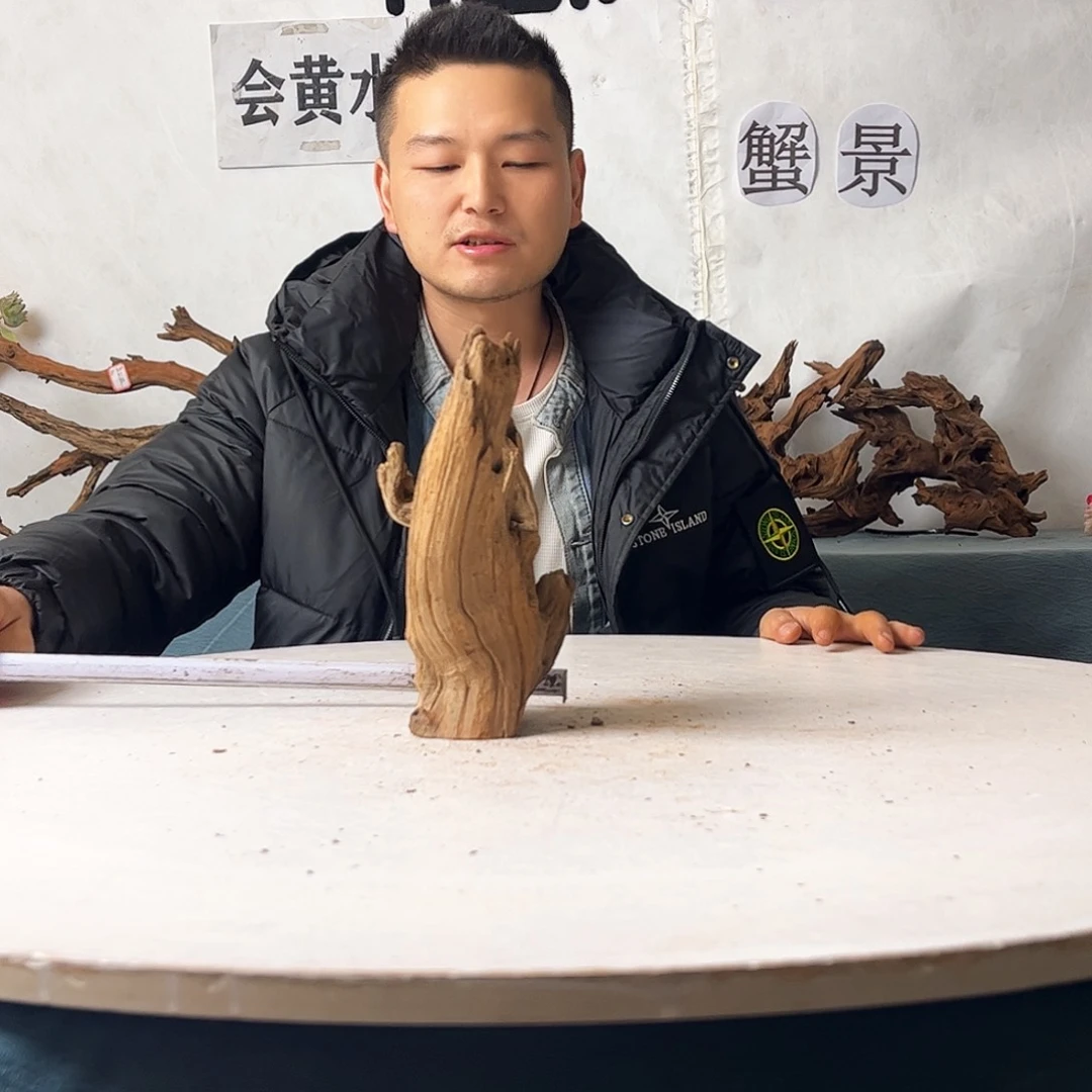 11.23.9 沉木造景爬宠造景