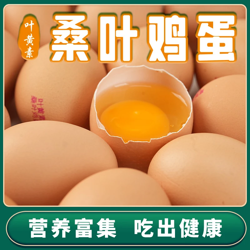 （精品礼盒包装）叶黄素桑叶鸡蛋无抗健康营养可生食鸡蛋（3~10盒）