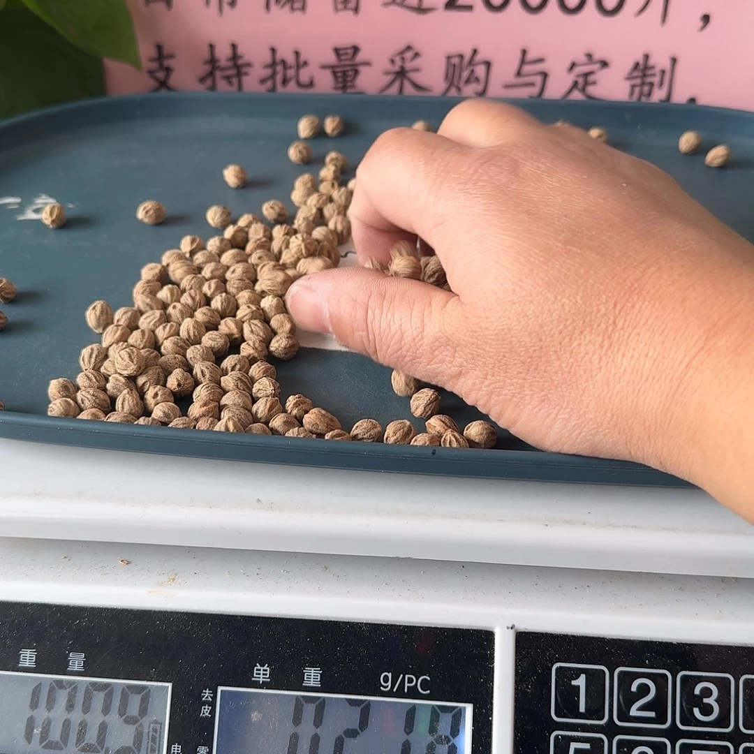 柏香籽/百香籽吊坠100克8+HT026