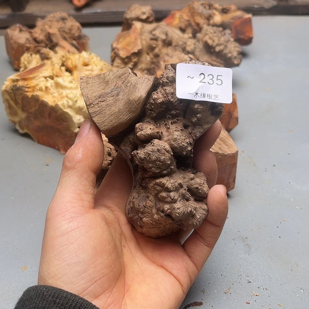 老***猫无花朵           235