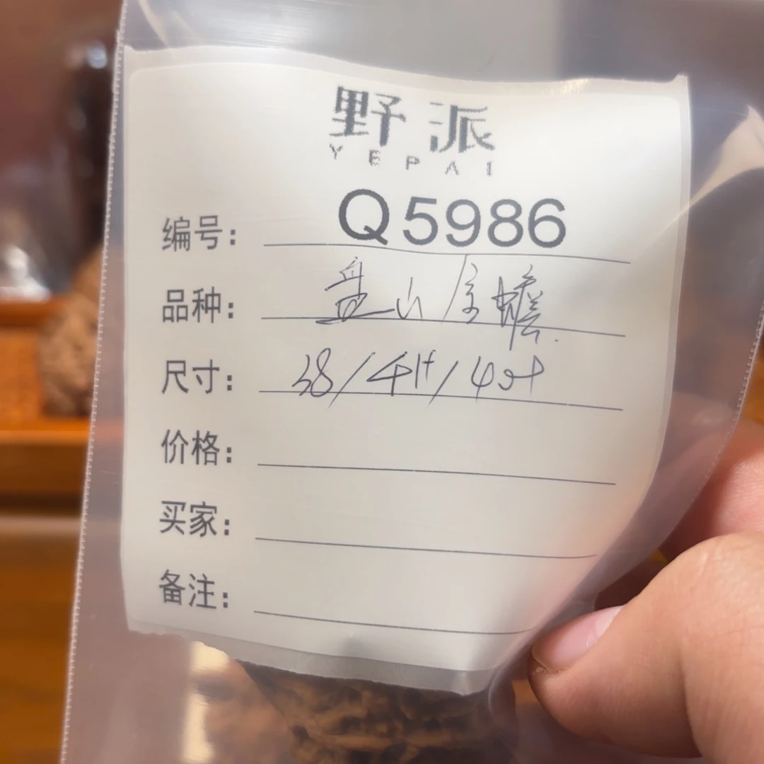 文玩核桃吊坠盘山金蟾Q5986