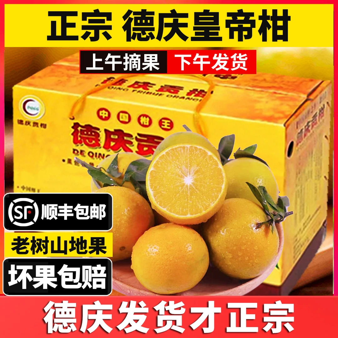 正宗德庆皇帝柑贡柑头茬新鲜水果当季整箱脐橙耙耙柑蜜桔橘子沃柑