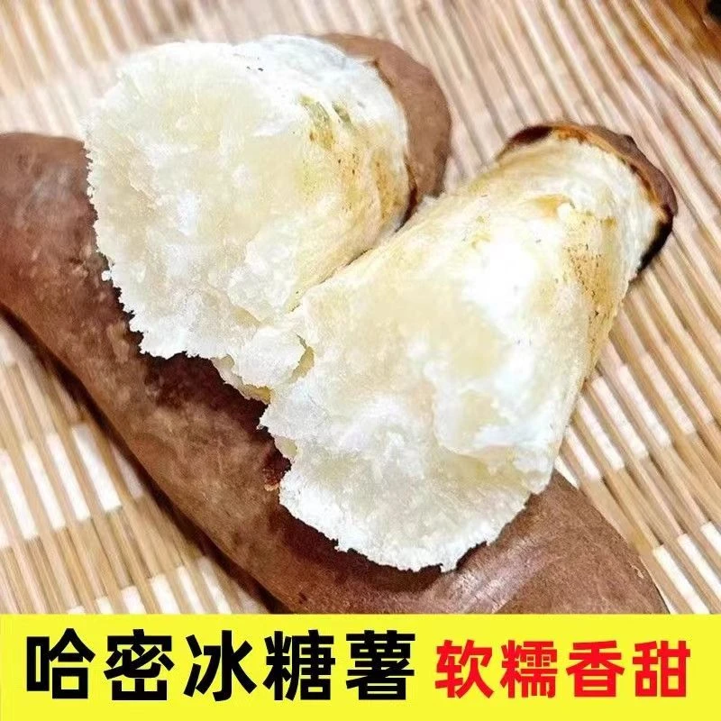 哈密冰糖薯白心蜜薯地瓜红薯糖心超甜新鲜农家自种细腻绵密烤番薯