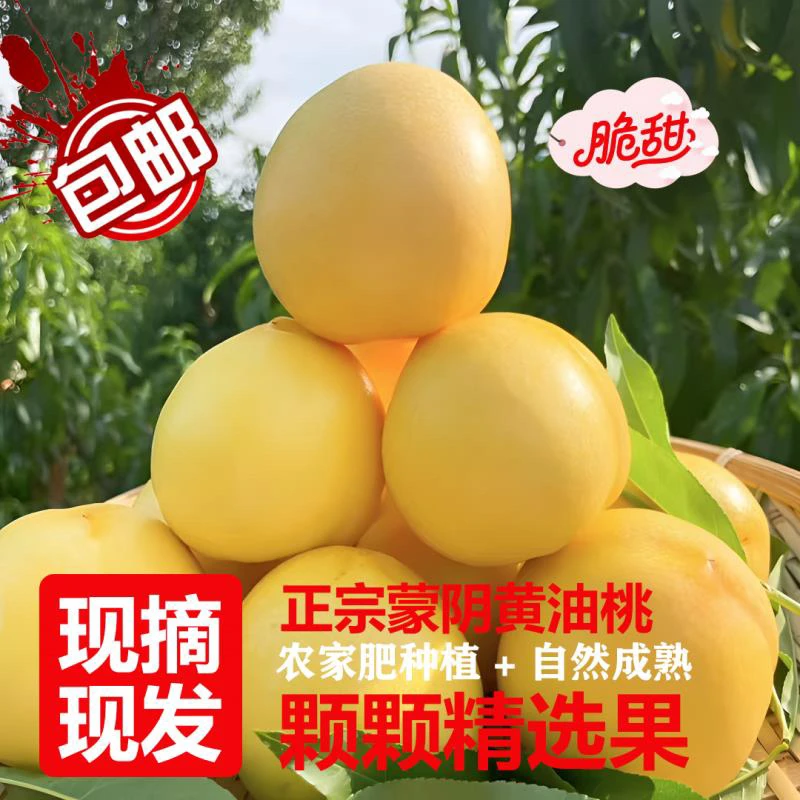 蒙阴蜜桃芒果桃现摘现发香甜爆汁表皮无毛