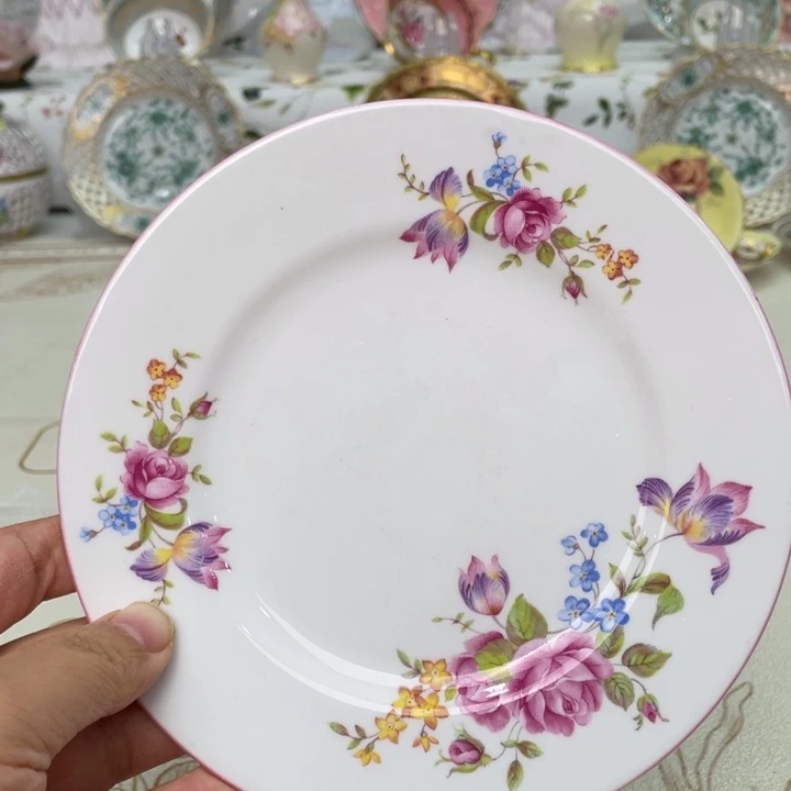 盘维多利亚欧洲中古