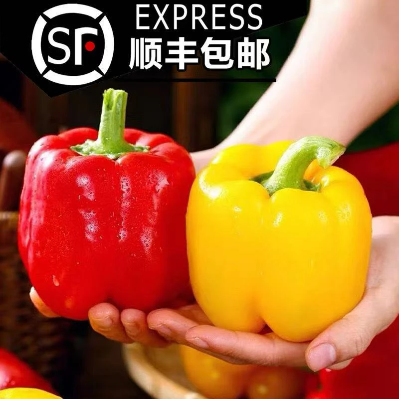山东寿光新鲜五彩椒水果灯笼椒红黄双色甜椒生吃不辣蔬菜