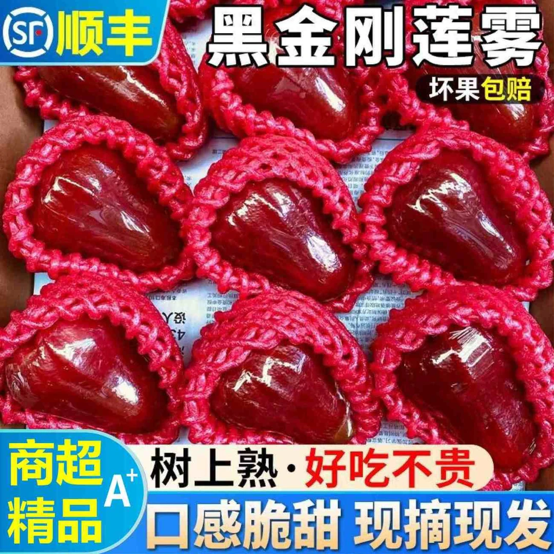 顺丰次日达海南三亚黑金刚莲雾水果当季现摘新鲜精品莲雾1斤3斤5斤