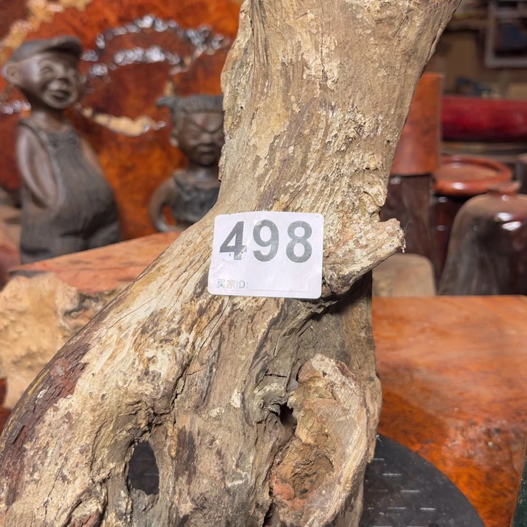 大果紫檀（缅甸花梨）