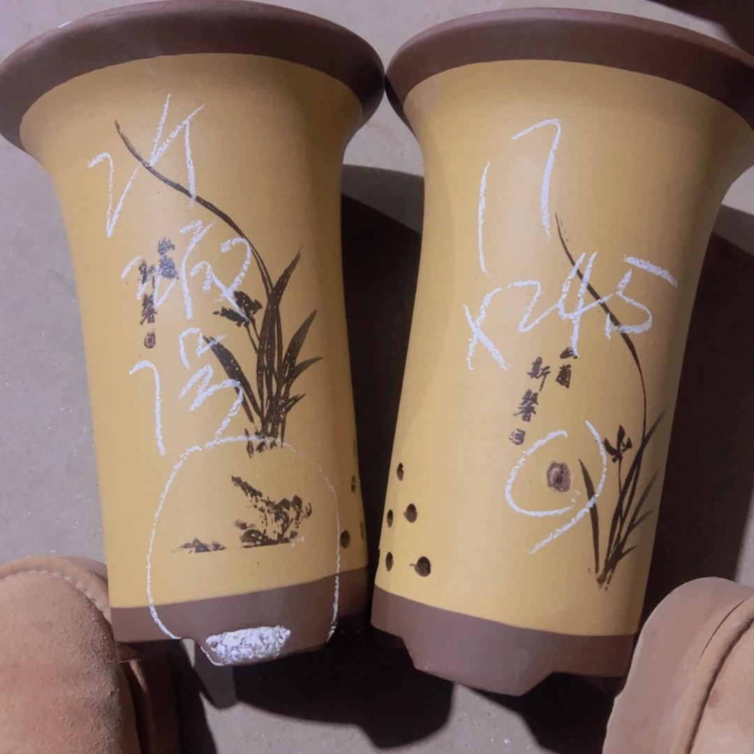 紫砂7号……………………………………