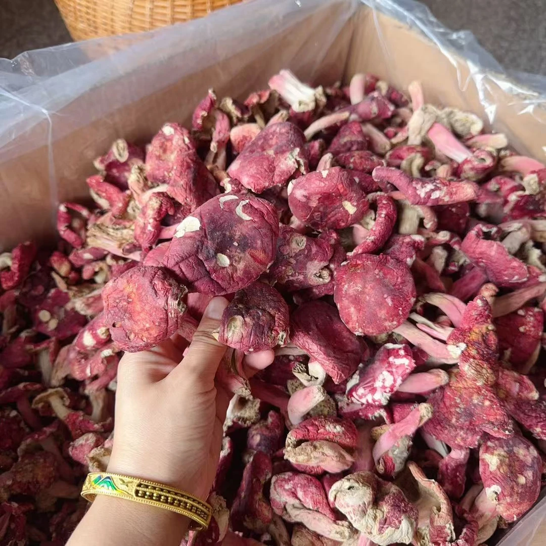 【浪水三角菇】正宗广西浪水野生红菇  250g