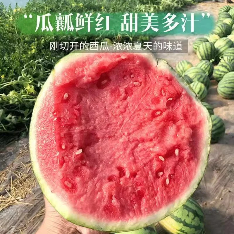 【夏天的味道】云南新鲜当季水果麒麟西瓜皮薄汁清脆甜可口现货现发