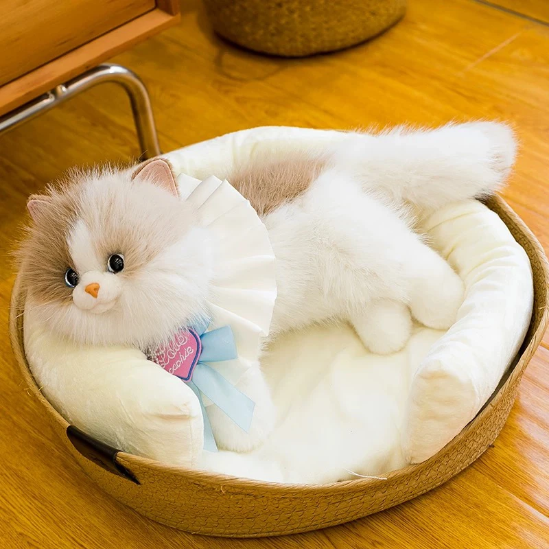 可爱真布偶猫包包毛绒玩偶猫咪造型送女孩闺蜜生日礼物